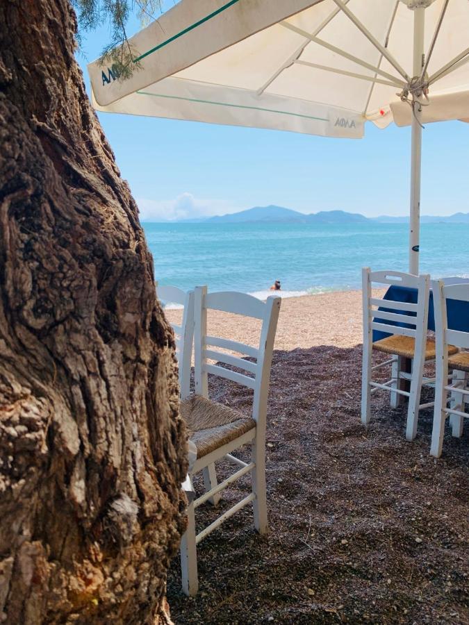 Villa ,,Sea Breeze,, - Home By The Sea Неа-Анхиалос Экстерьер фото